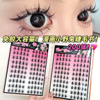 Glueless False Eyelashes