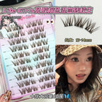 Glueless False Eyelashes