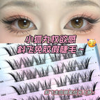 Glueless False Eyelashes